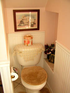 Nicole's Bathroom